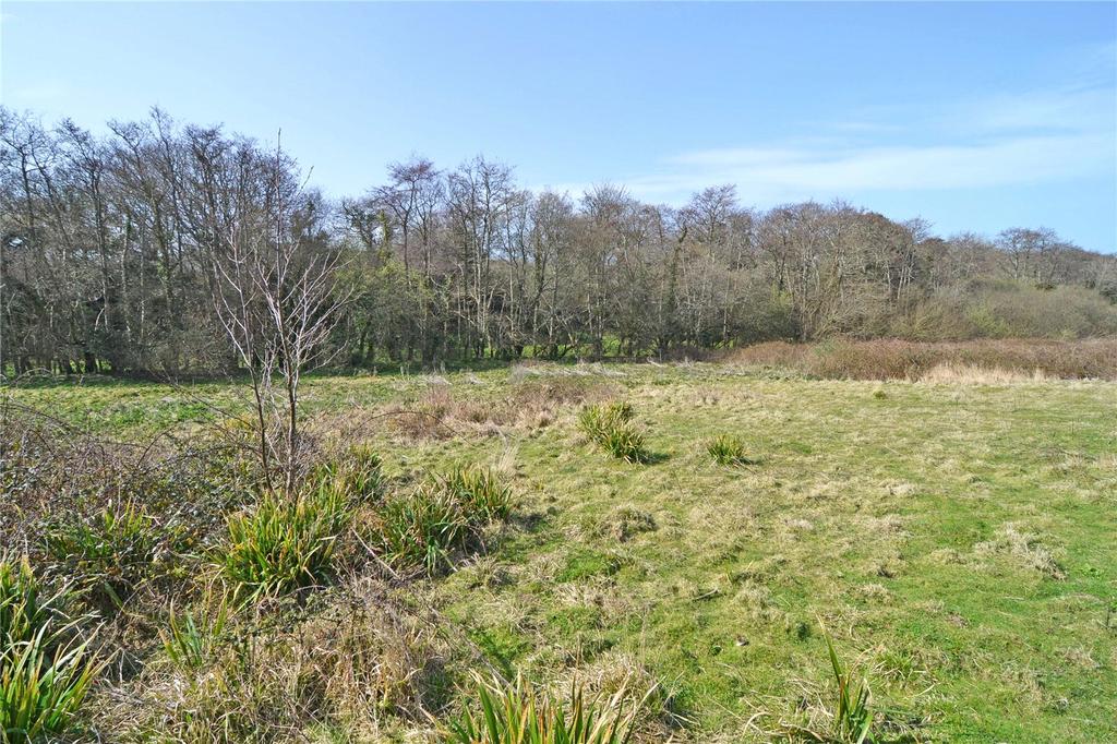 Lot 1