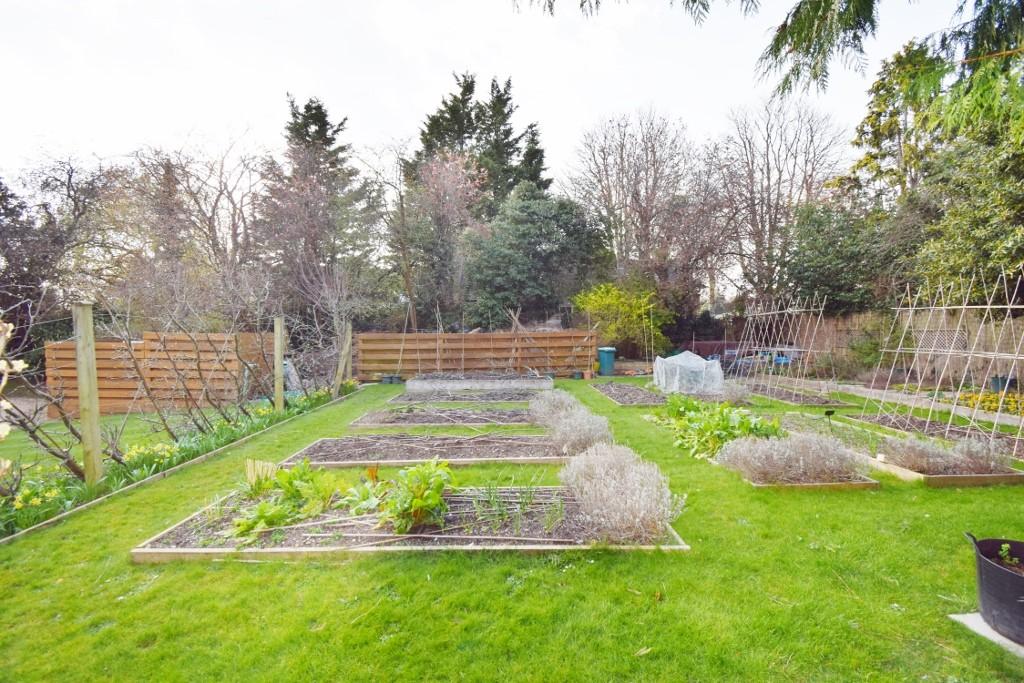 Kitchen Garden