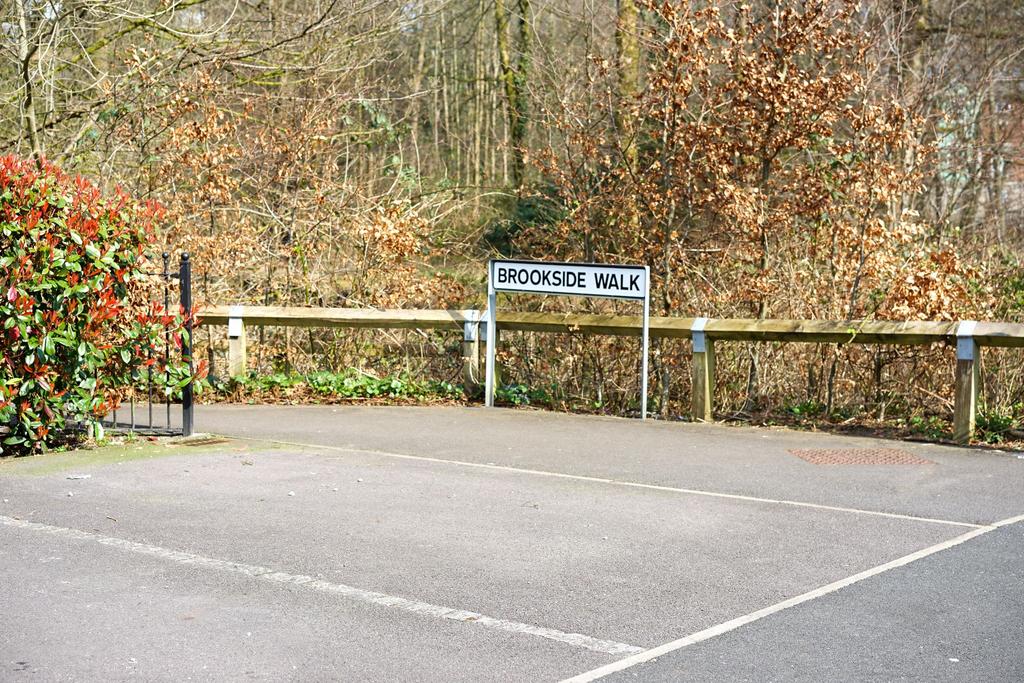 Photograph 38