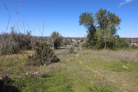 Land, Algoz,  Algarve