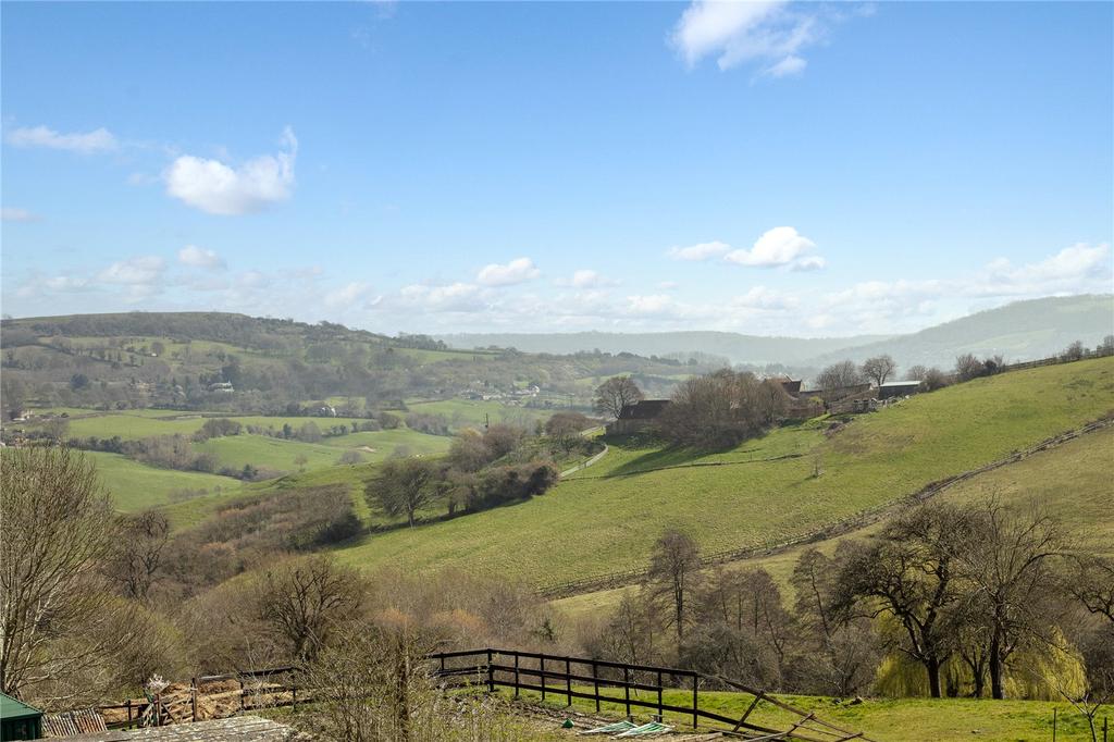 Country Views