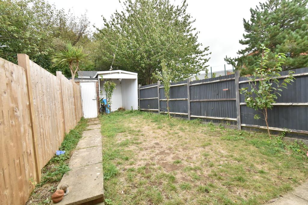 Back Garden