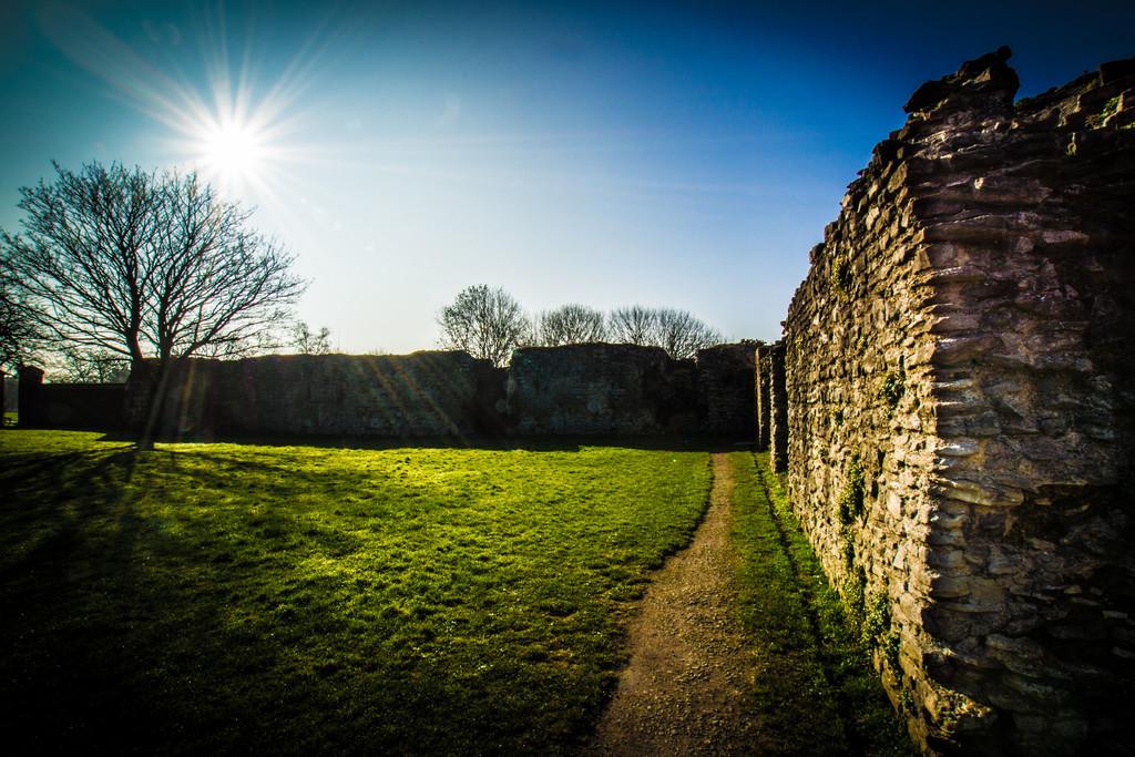 Courtyard, garden