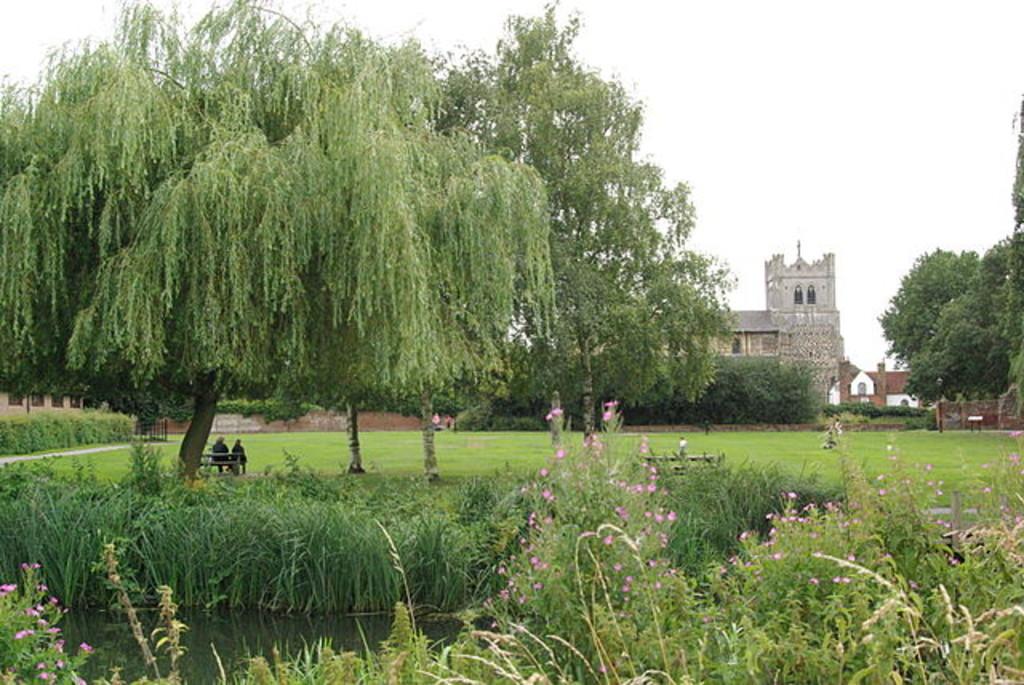 Communal garden, garden