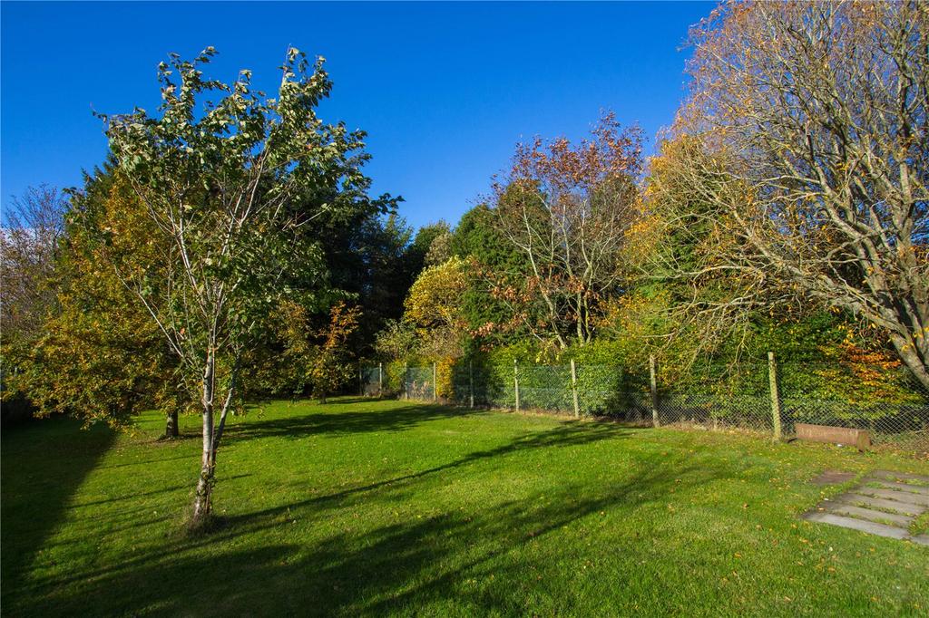 Trees and Garden