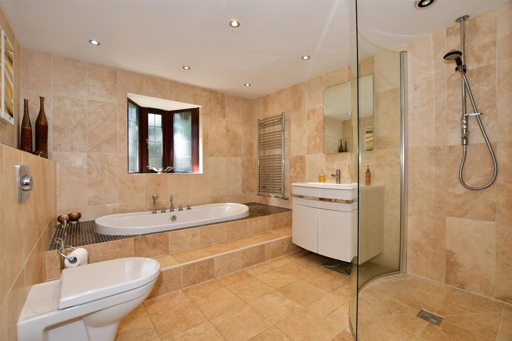 Bath-Shower Room