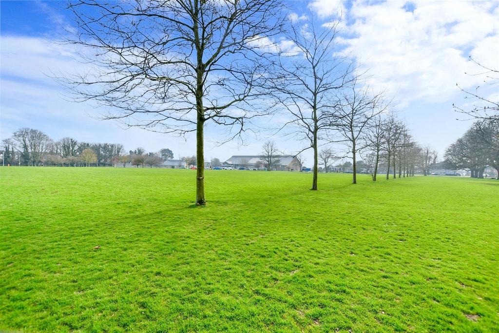 Surrounding Area