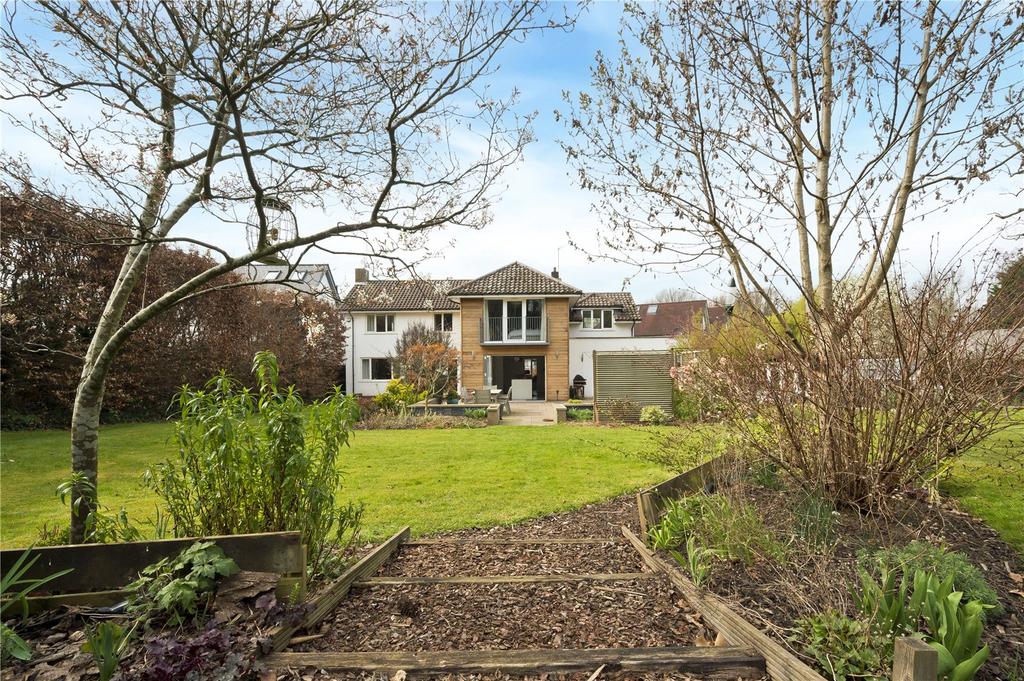 Back Of The House