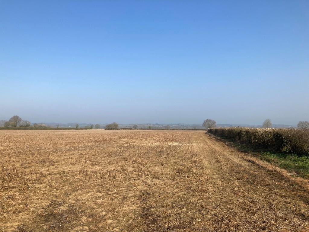 Agricultural Land at Morley St Botolph, Norfolk Land £250,000