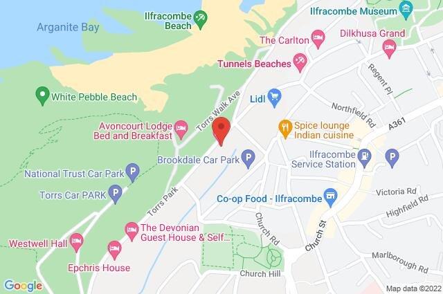 Google Maps Image