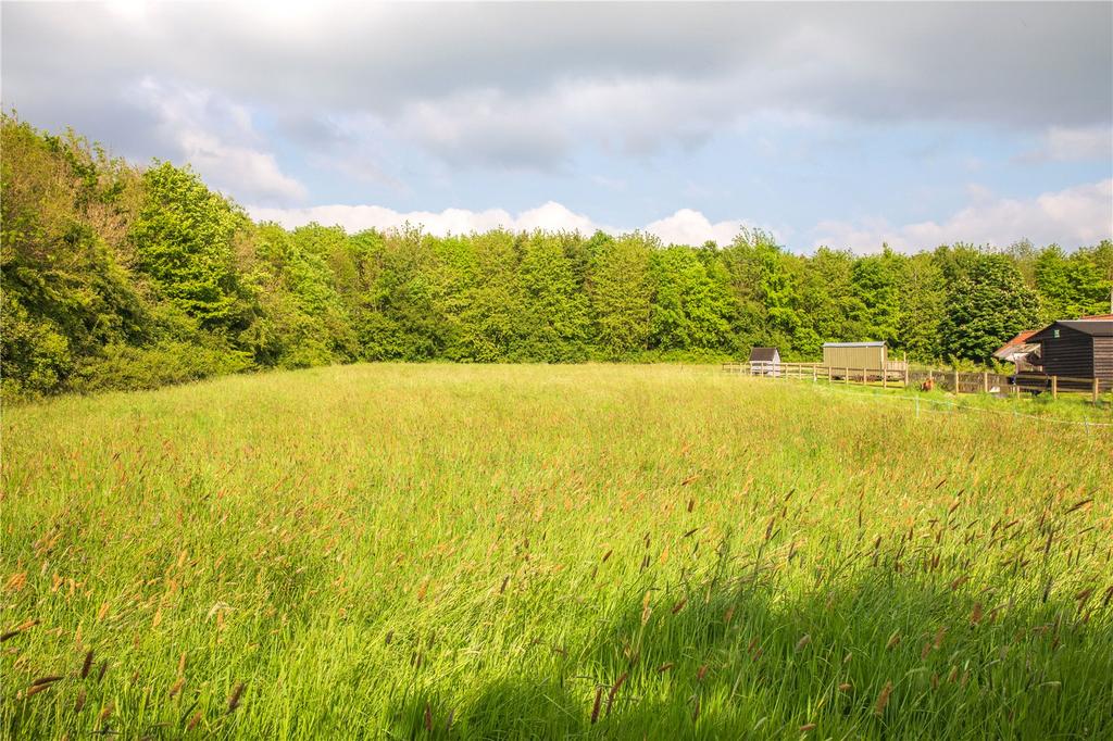 Grounds