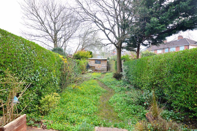 Back garden