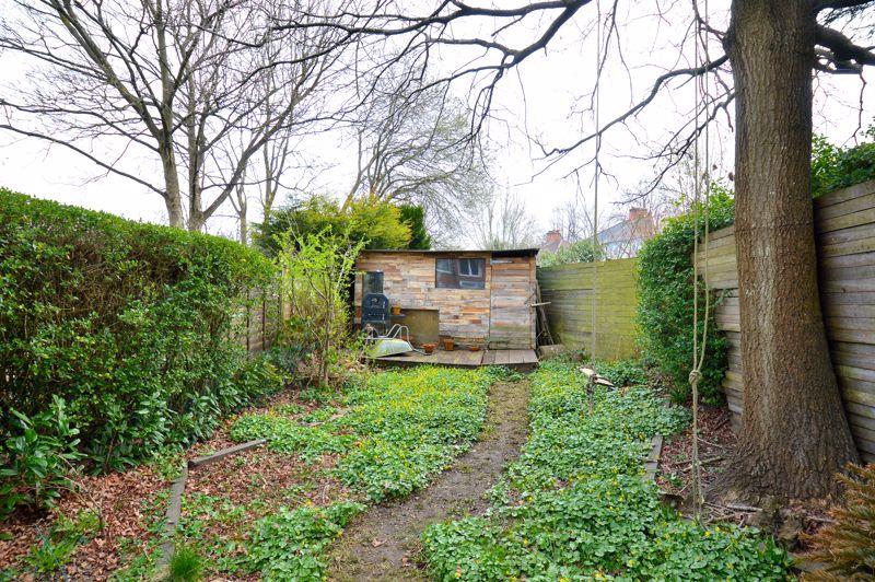 Back garden