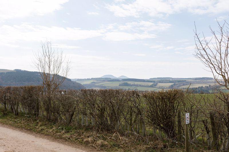 View towards The...