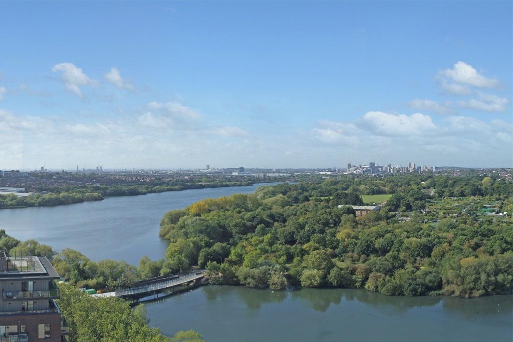 Harp View Floor 16 South