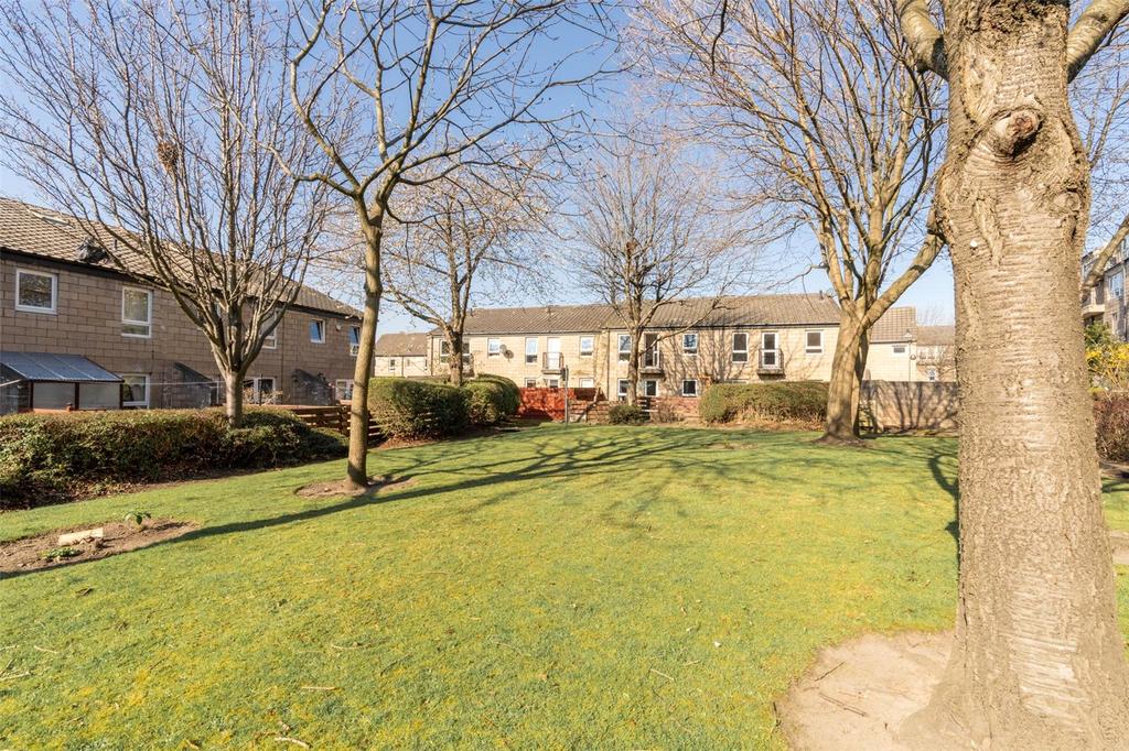 Shared Grounds