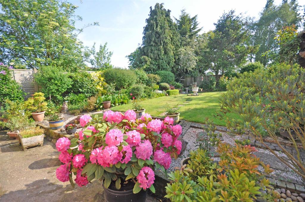 Garden - Lawn 1.jpg