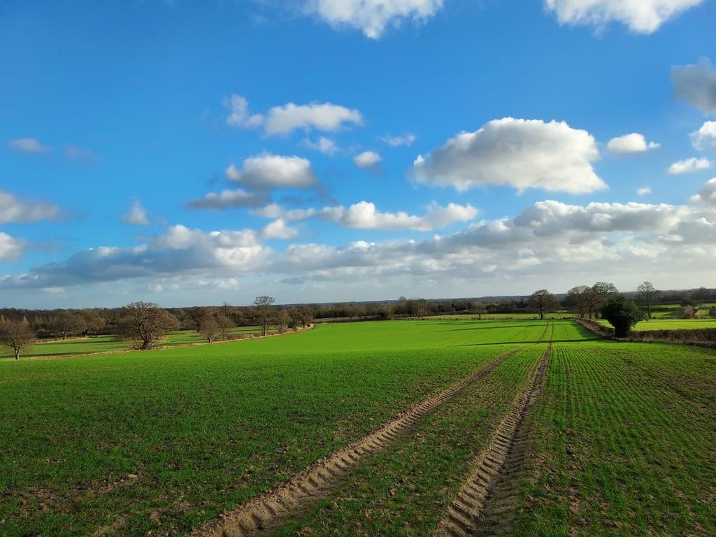 Bilbrough, York Land £1,085,000