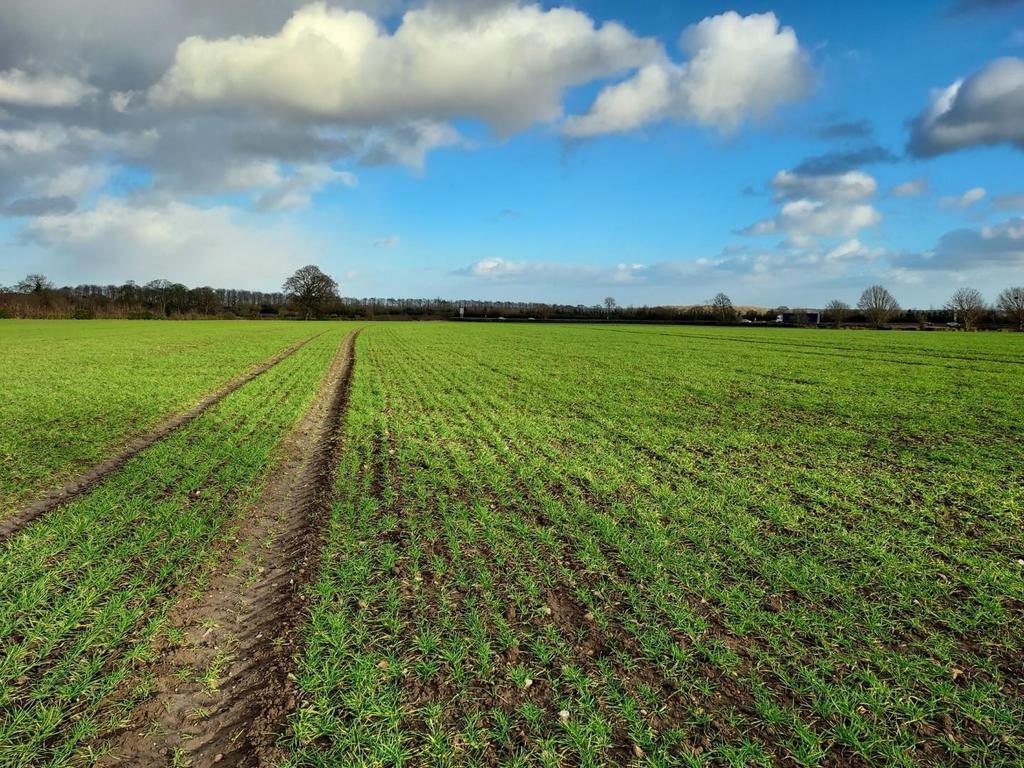 Bilbrough, York Land £1,085,000