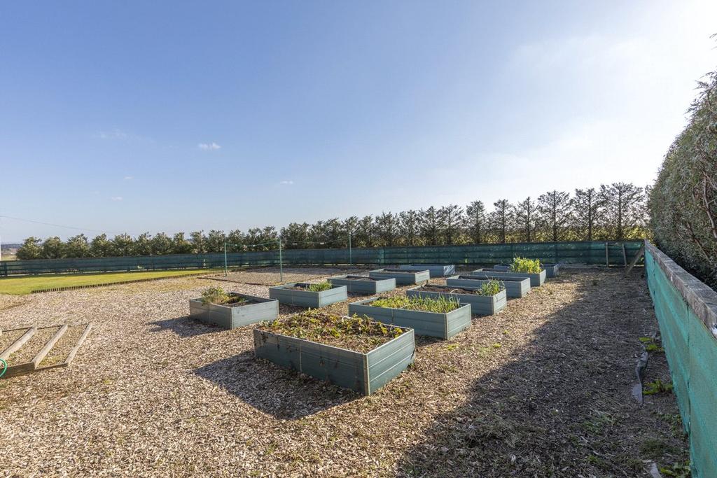 Vegetable Garden