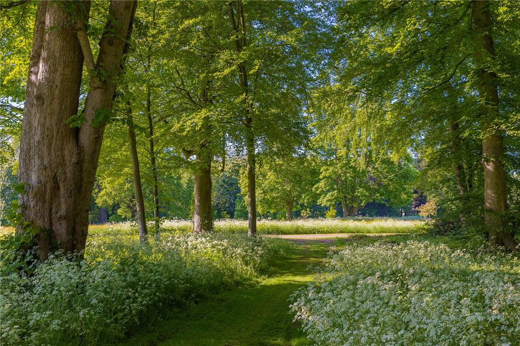 Woodlands