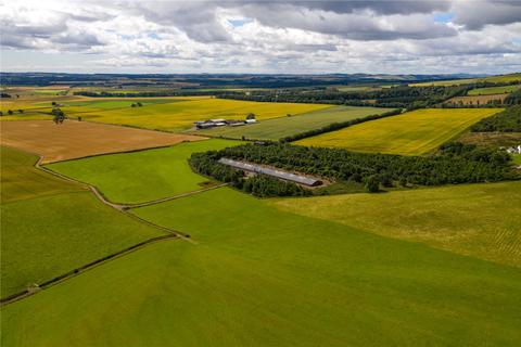 Land for sale - West Dunlappie, Edzell, Brechin, Angus, DD9