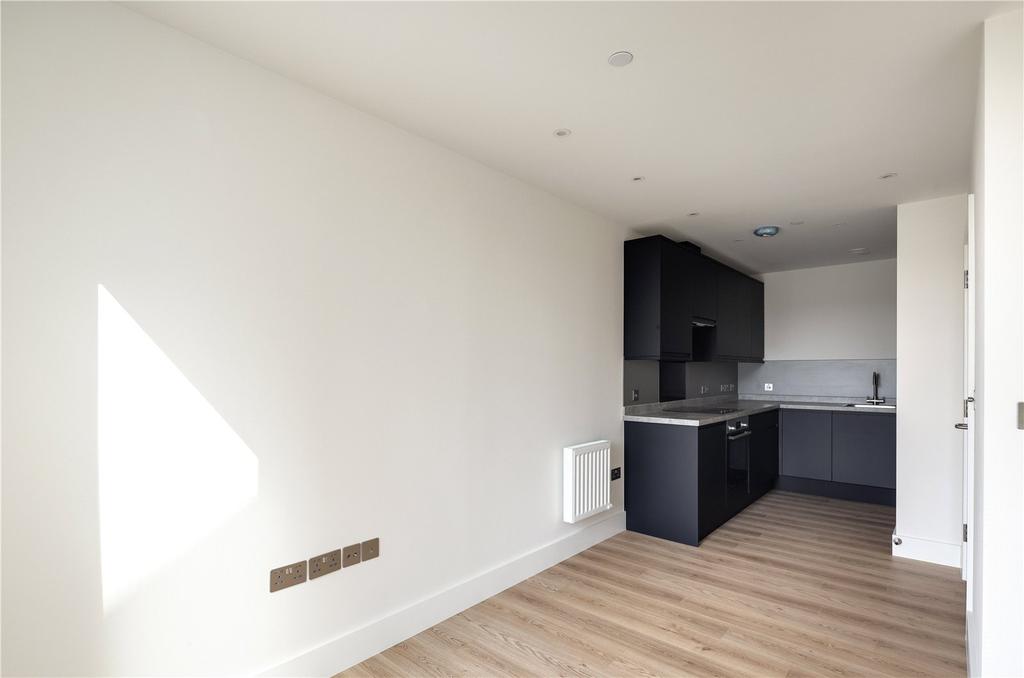 Kitchen/Living Area