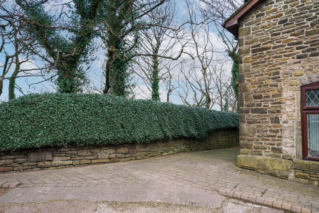 Photograph 58