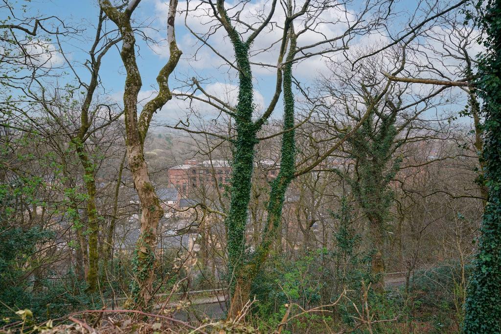 Photograph 59