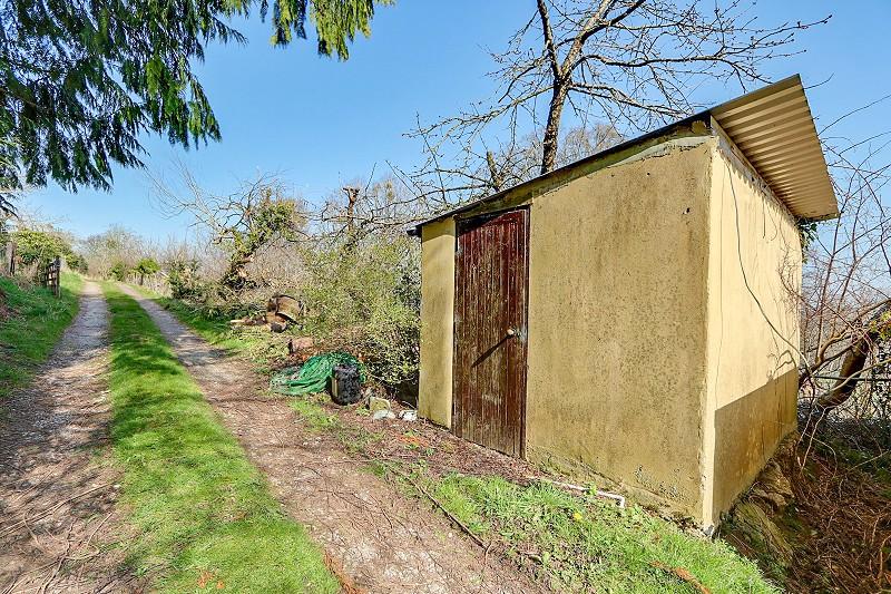Shed