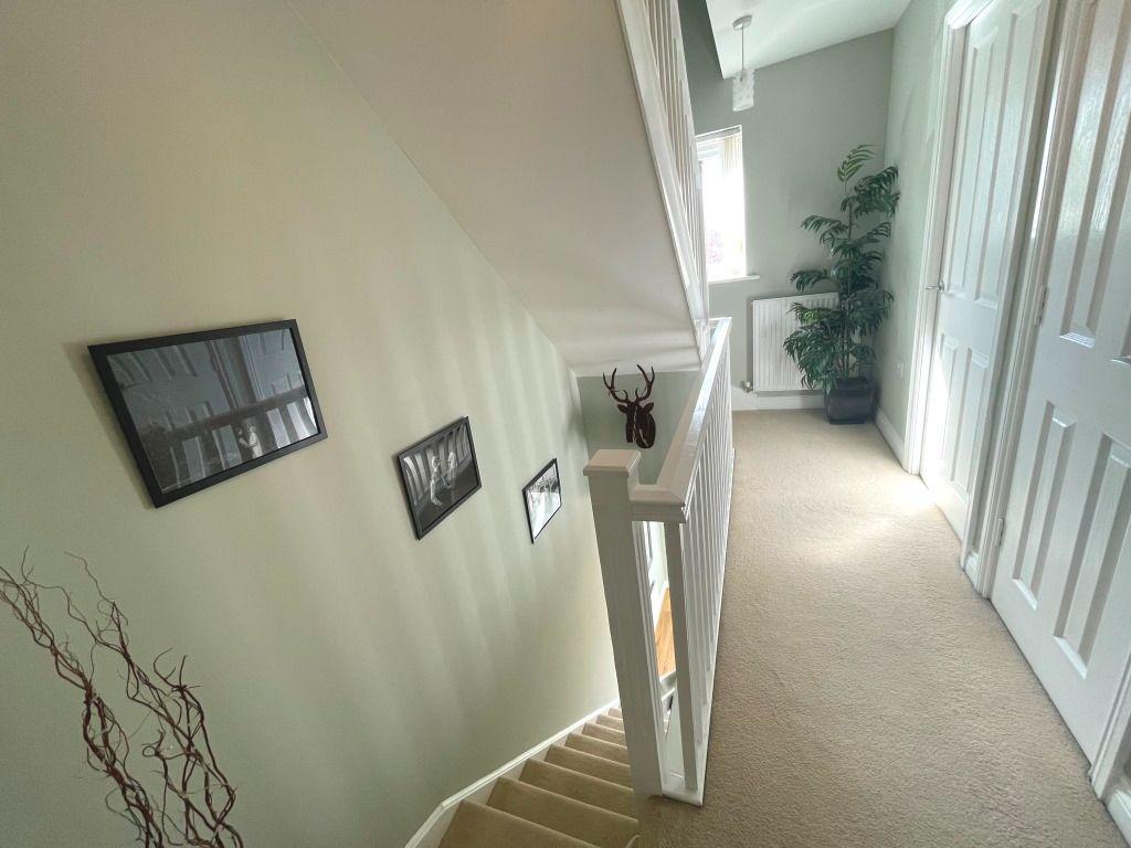 Photograph 11