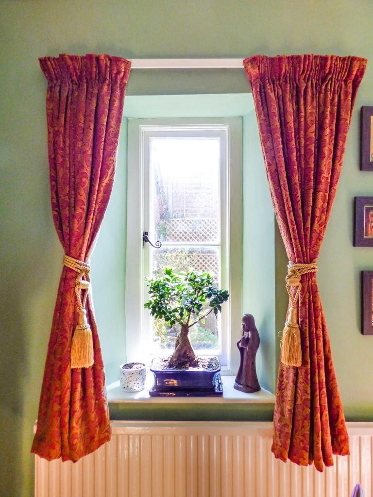 Picture Window