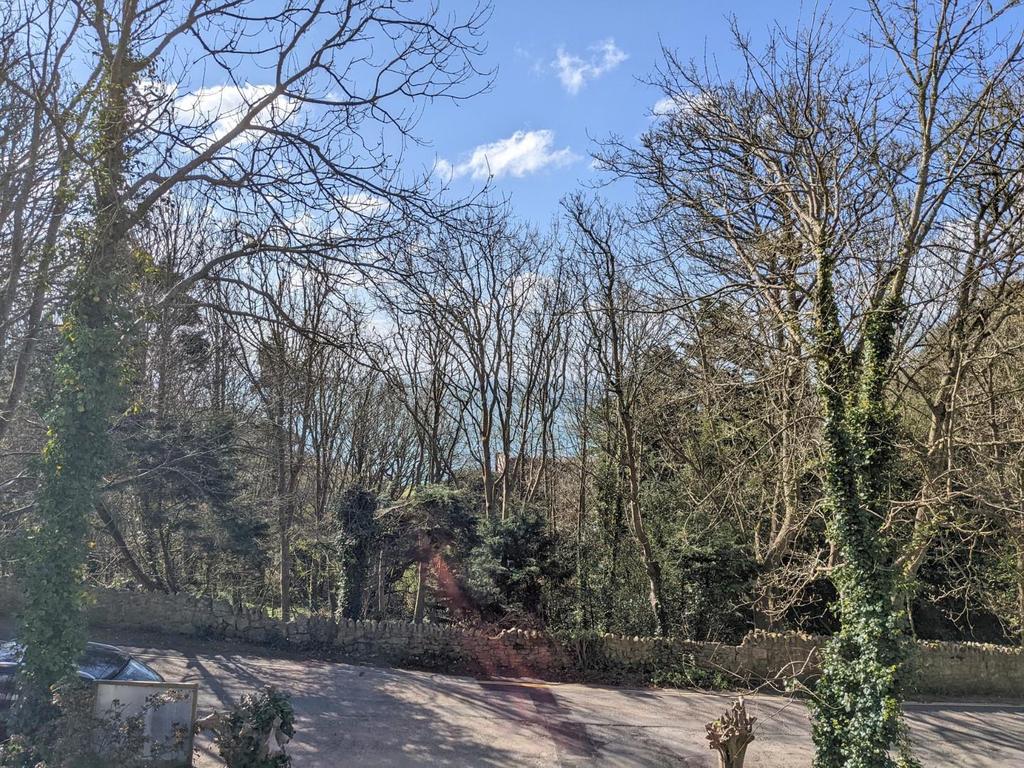 Fairytale Cottage Views (Winter)