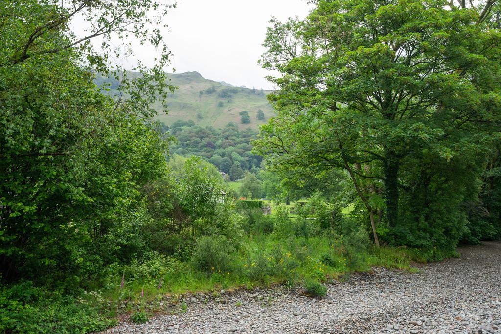 Fell View