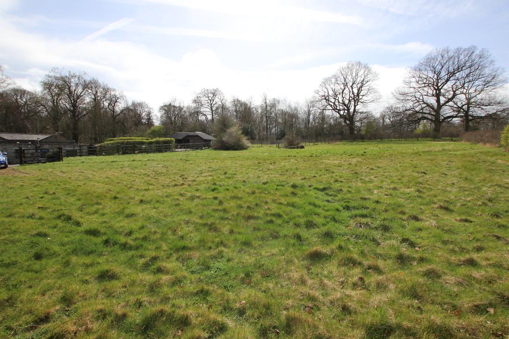 Larger Field