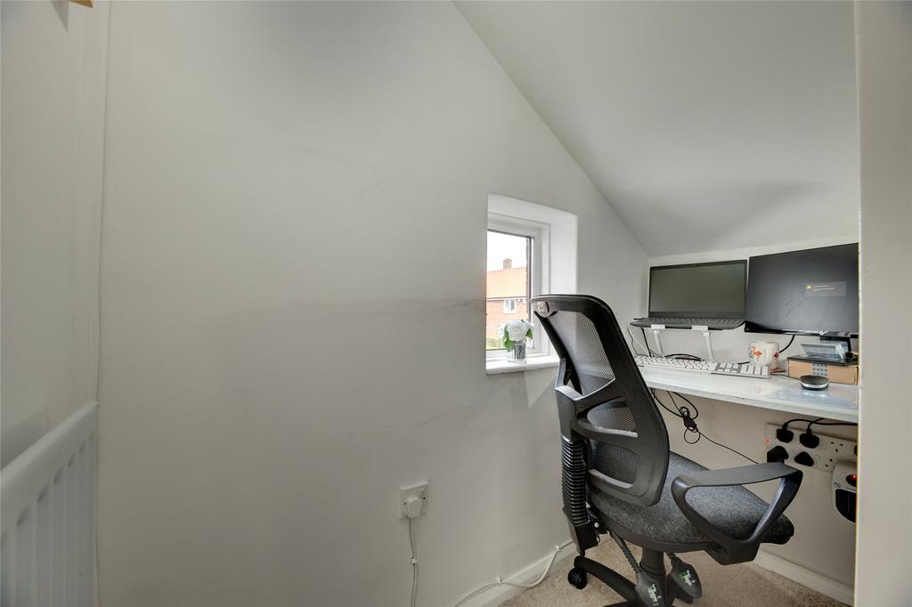Study Area