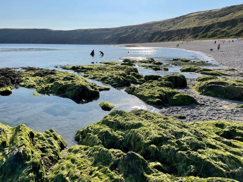 Vault Beach Near...