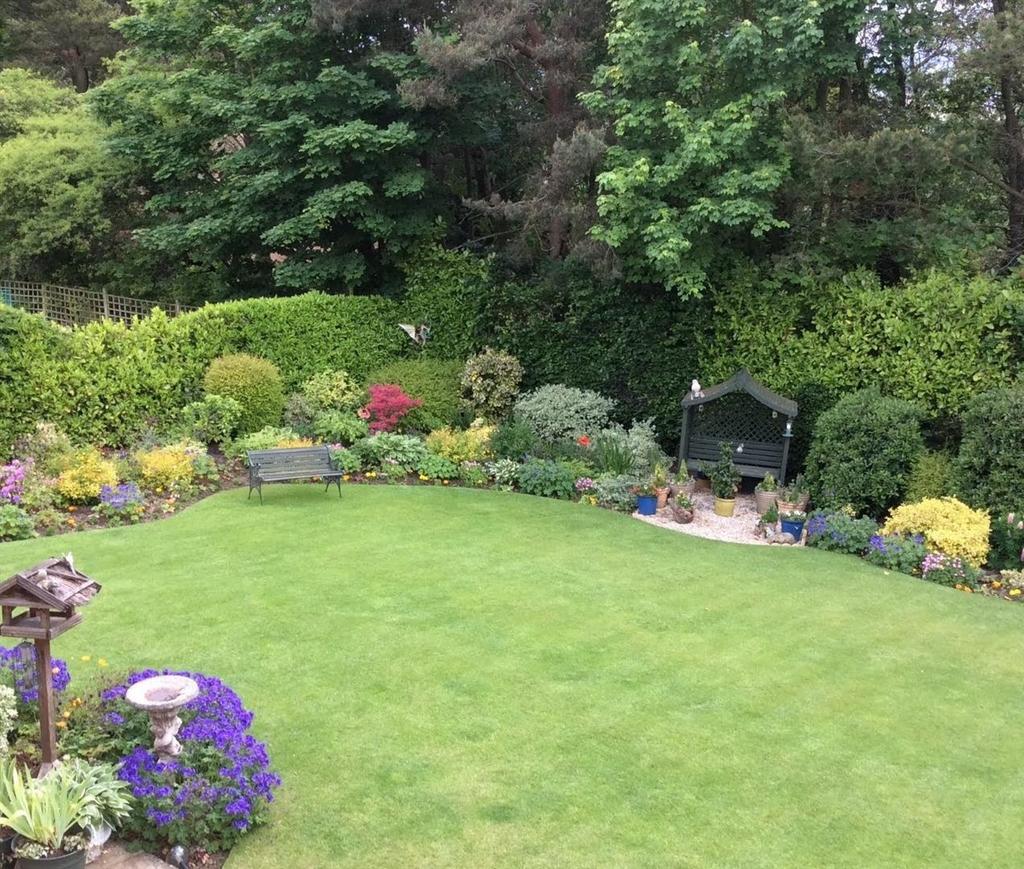 Garden rear2.jpg