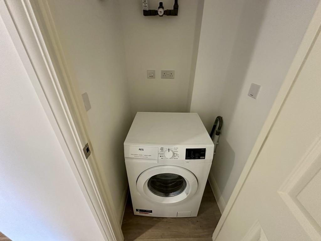 Img 1950