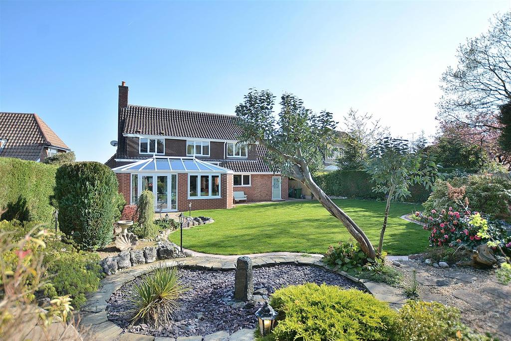 Dsc 1383.jpg
