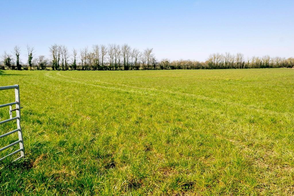 Lot 4