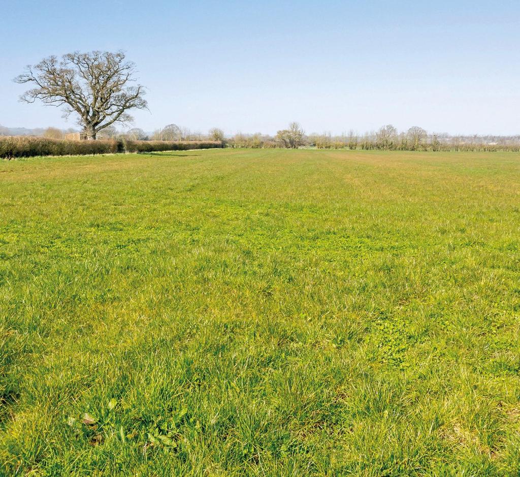 Lot 4