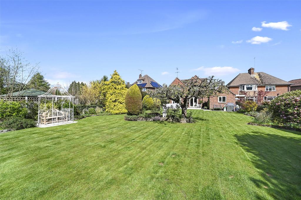South Facing Garden