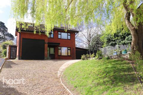 3 bedroom detached house for sale - Woodcock Road, Norwich