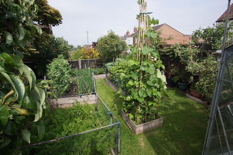 Vegetable Garden