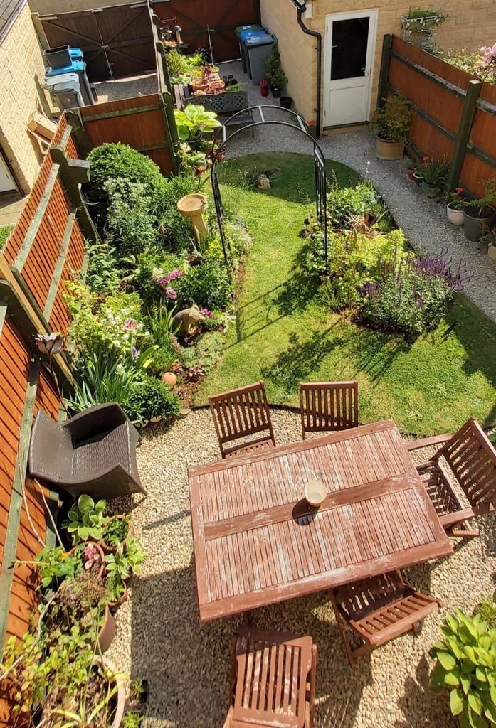 Garden (Summer)
