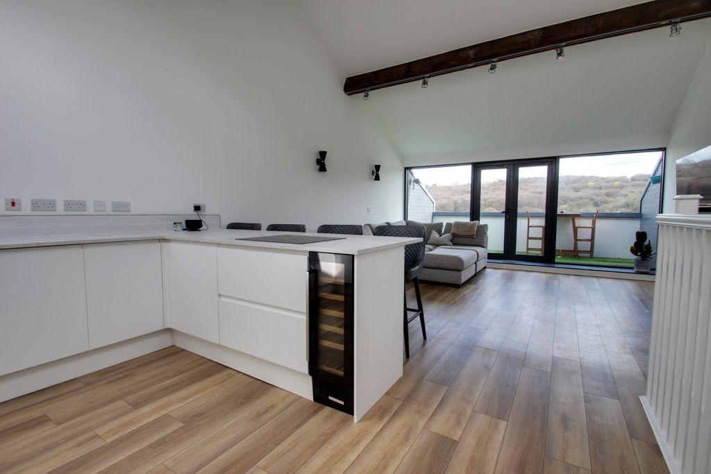 Kitchen and Living room