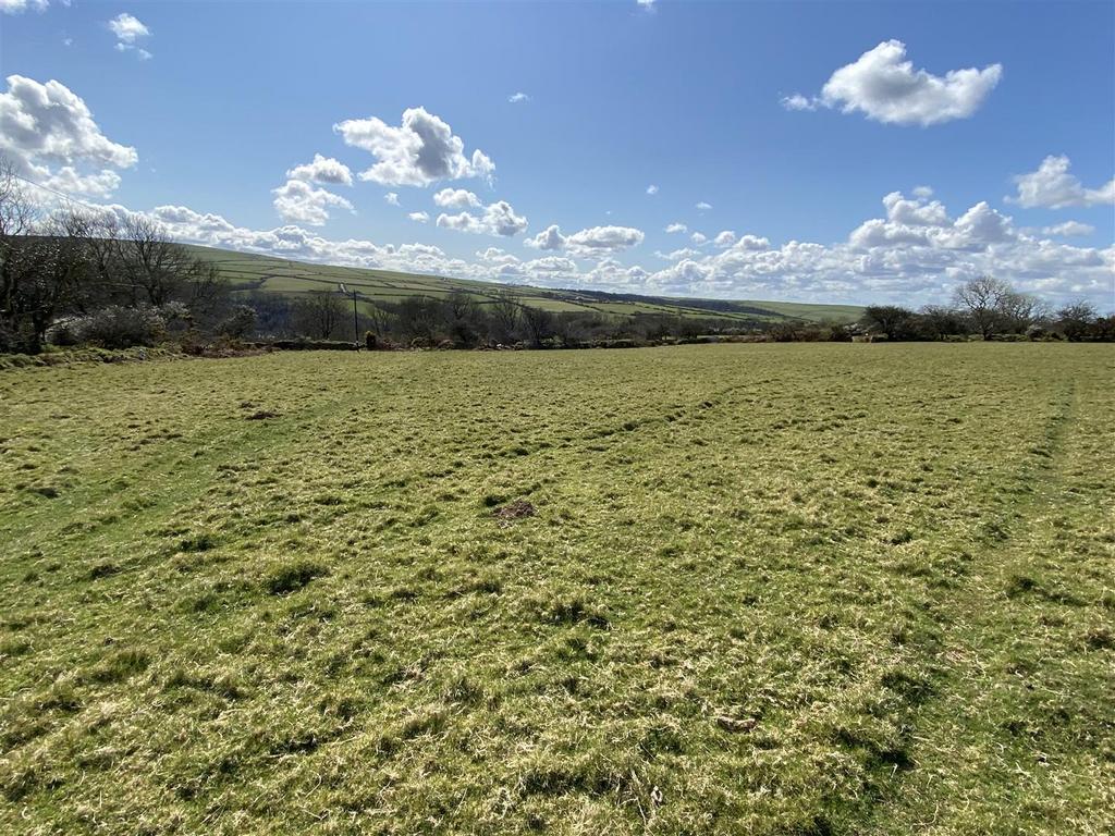 Img 3571.jpg