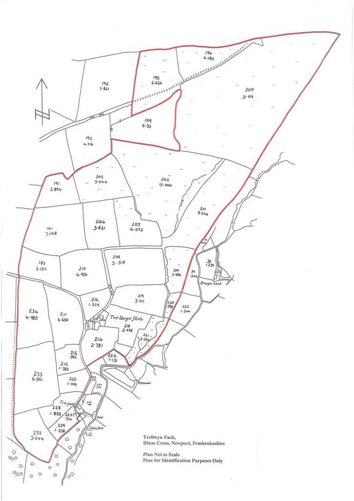 S25 C-922041210072.jpg