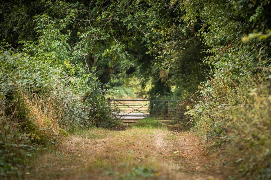 Williford Farm